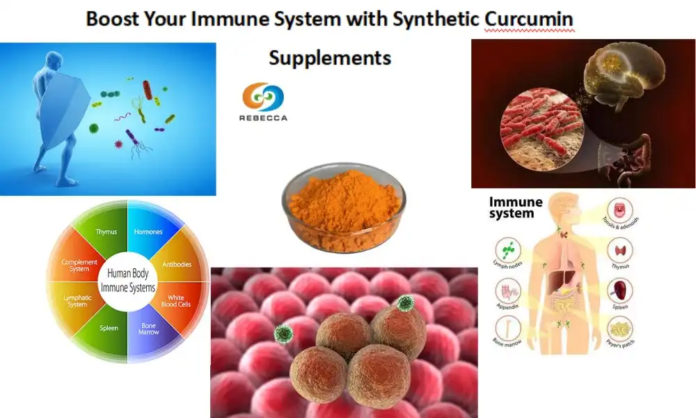 Boost Your Immune System with Synthetic Curcumin Supplements